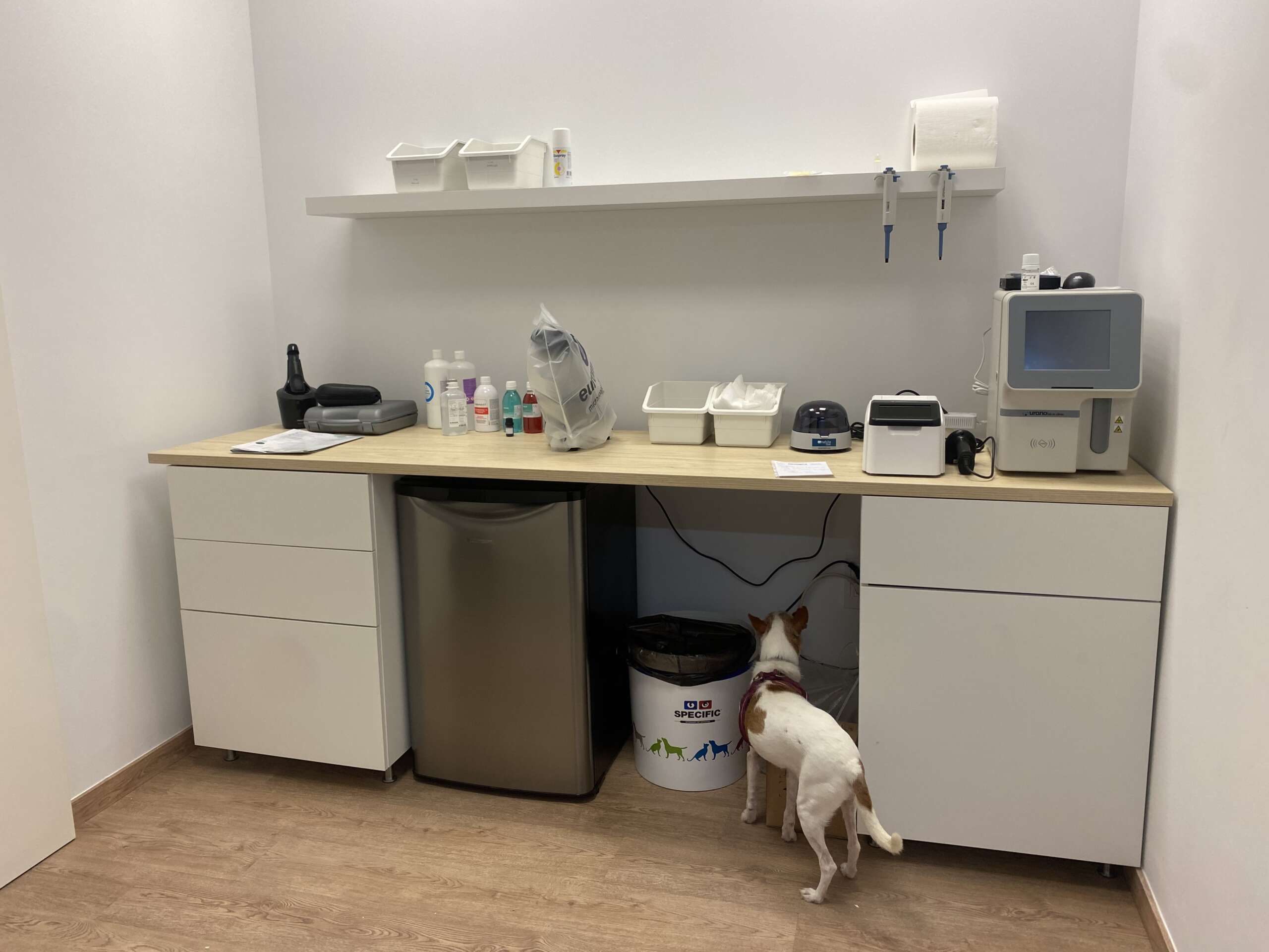 Laboratorio veterinario en Sevilla Este con hemograma, microscopio y analíticas in situ en Pets&Co