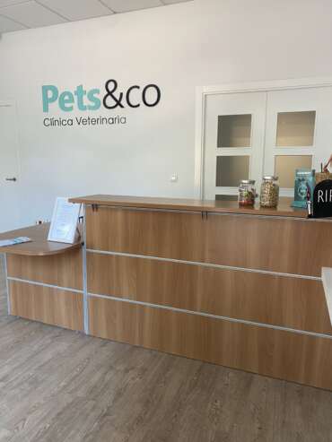 Recepción Clínica Veterinaria Pets&co Sevilla