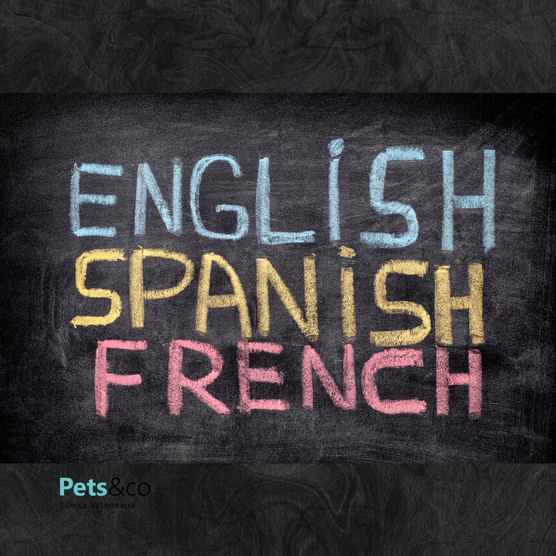 Sign showing English, French and Spanish spoken at Pets&Co veterinary clinic in Seville Este