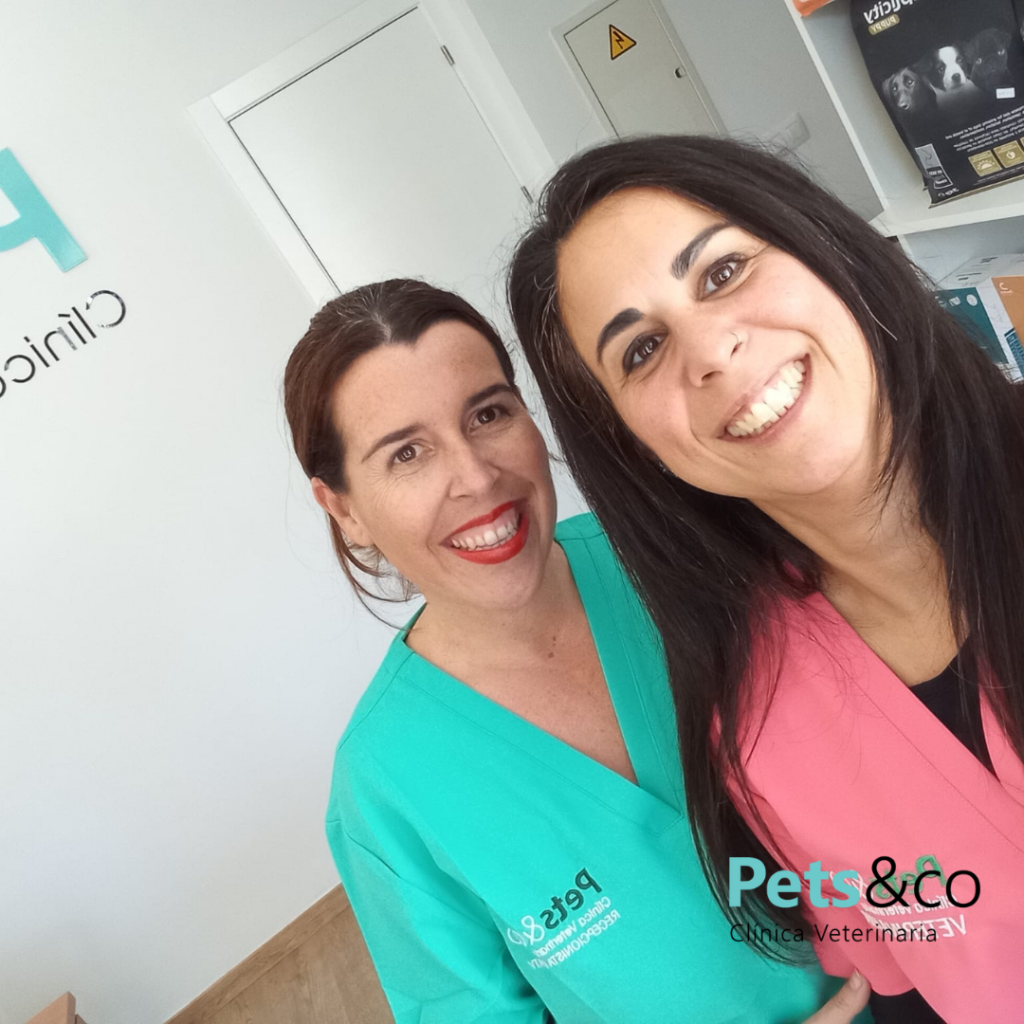 sara y Cristina fundadoras de la Clínica Veterinaria Pets&co en Sevilla