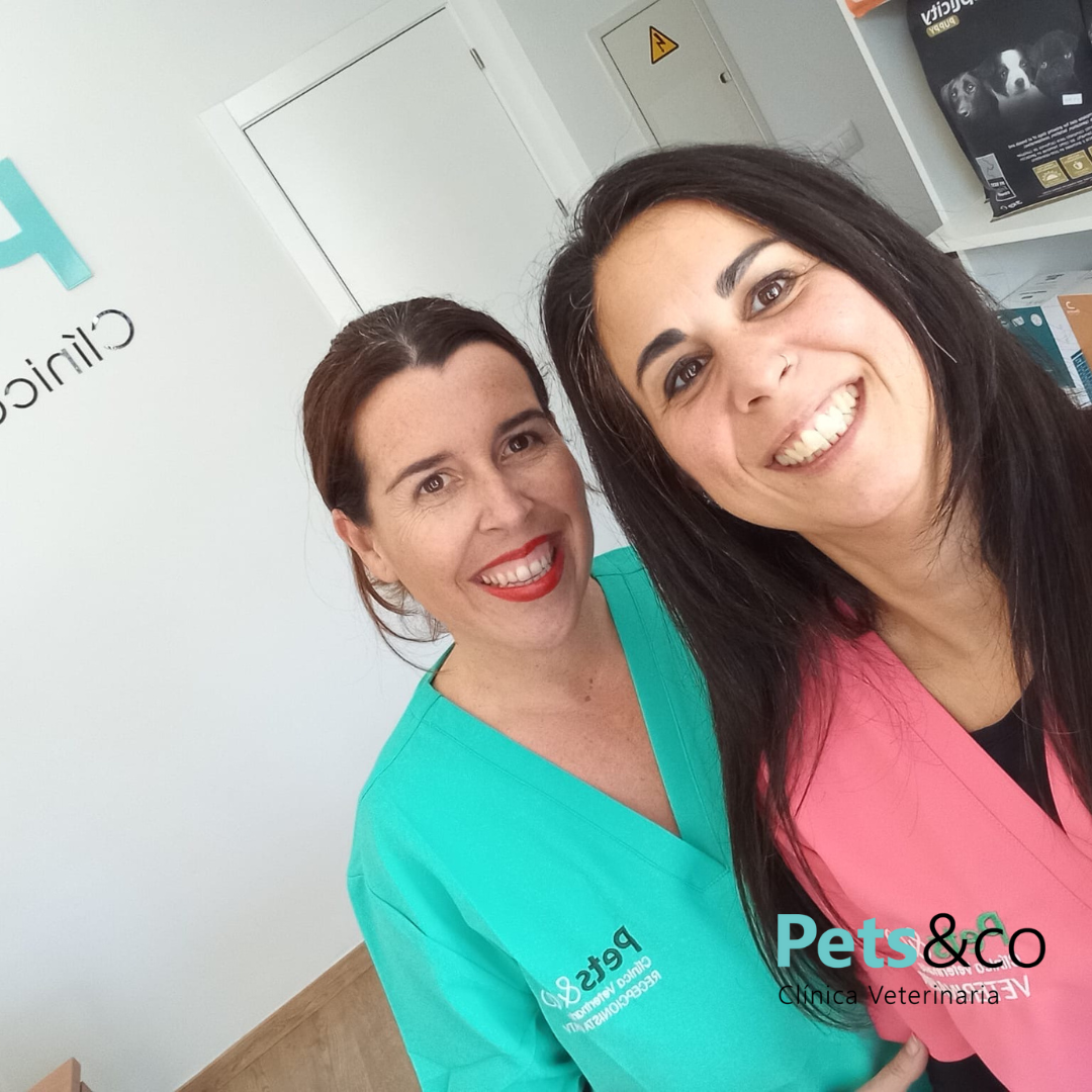 Sara Álvarez, socia fundadora de Pets&Co y responsable de gestión y atención al cliente