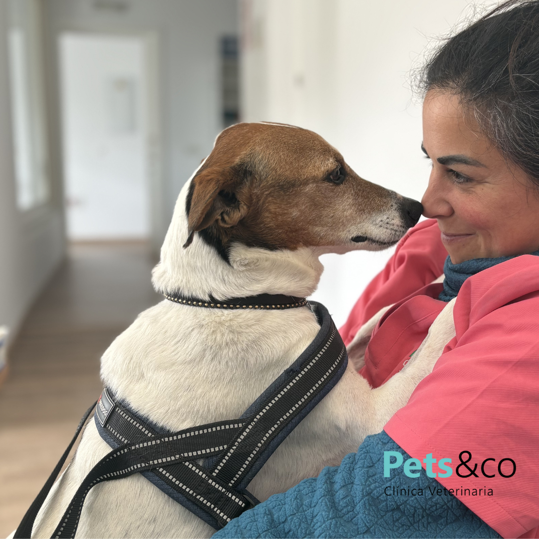 Oliver, bodeguero andaluz cariñoso que forma parte del día a día en Pets&Co