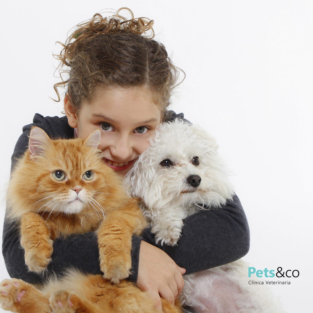 Adopción responsable en Sevilla – niña abrazando a su perro y gato adoptados