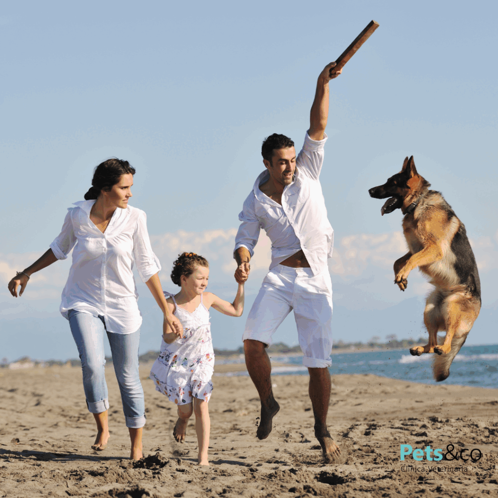 Familia feliz en la playa jugando con su perro pastor alemán