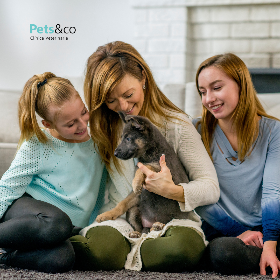 tutores de perros y gatos en Sevilla – familia feliz con su cachorro